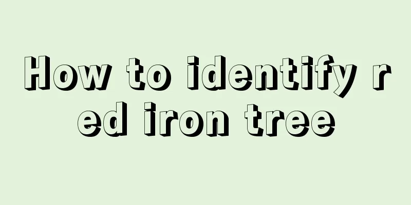 How to identify red iron tree