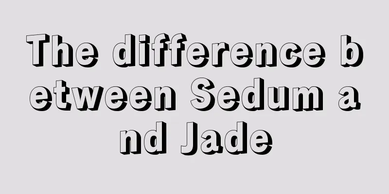 The difference between Sedum and Jade