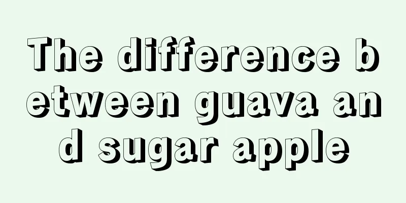 The difference between guava and sugar apple