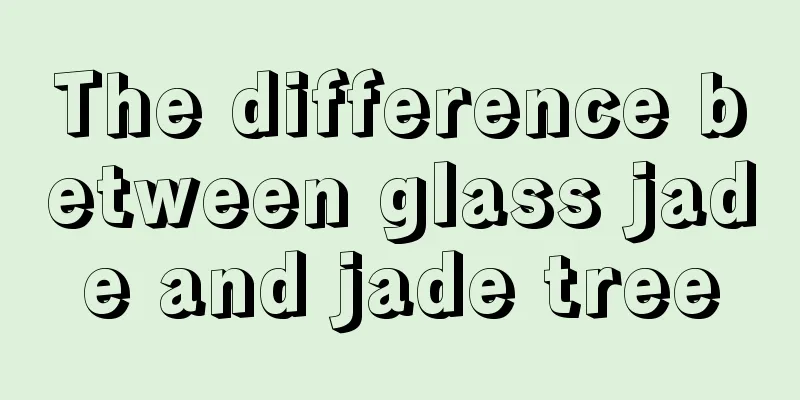 The difference between glass jade and jade tree