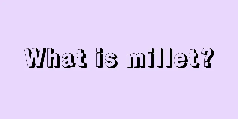 What is millet?