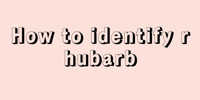 How to identify rhubarb