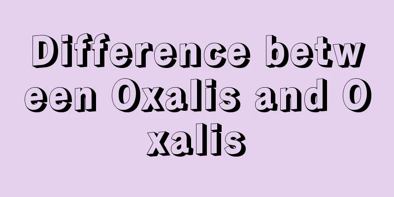 Difference between Oxalis and Oxalis