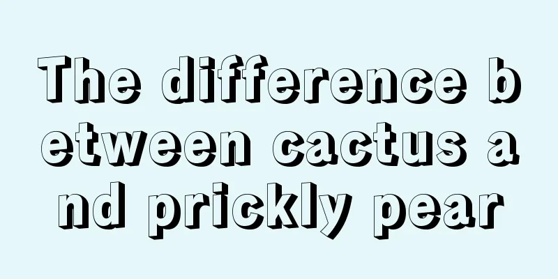 The difference between cactus and prickly pear