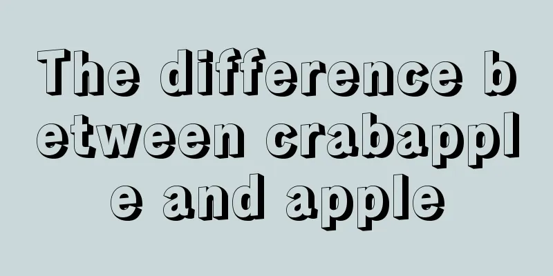 The difference between crabapple and apple