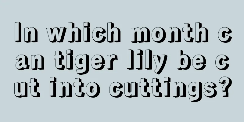 In which month can tiger lily be cut into cuttings?