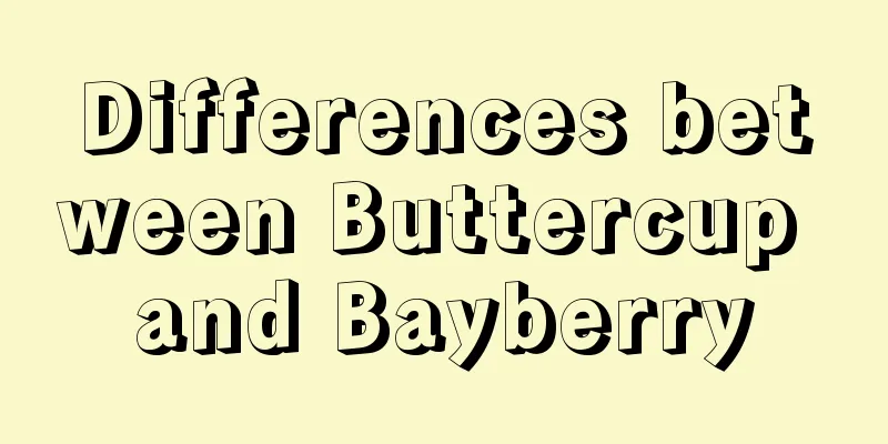 Differences between Buttercup and Bayberry