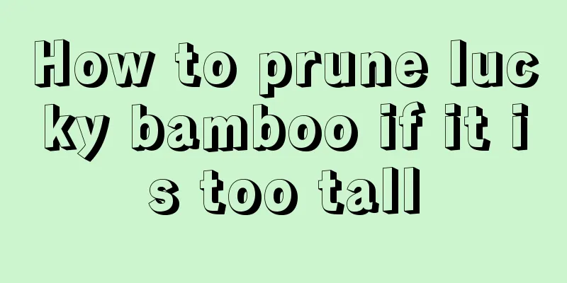 How to prune lucky bamboo if it is too tall