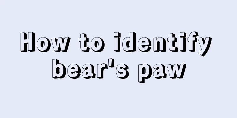 How to identify bear's paw