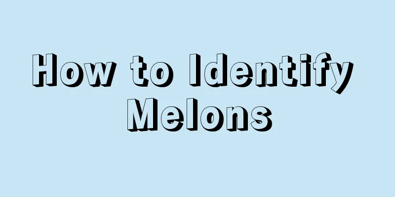 How to Identify Melons