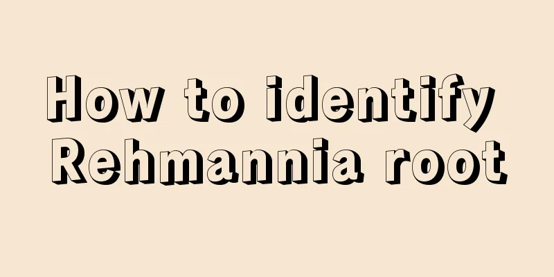 How to identify Rehmannia root