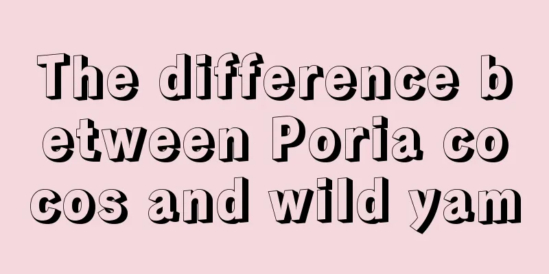 The difference between Poria cocos and wild yam