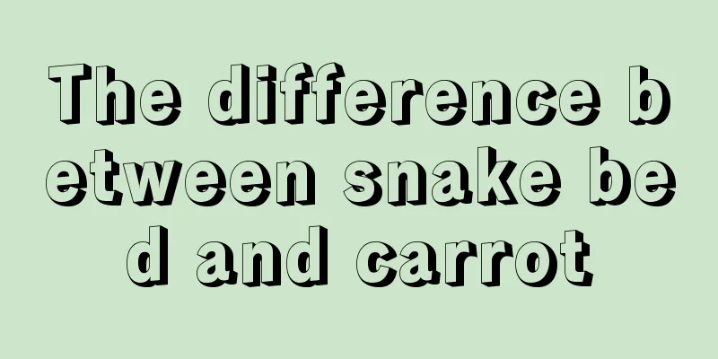 The difference between snake bed and carrot