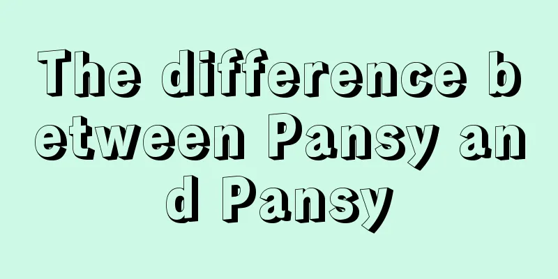 The difference between Pansy and Pansy