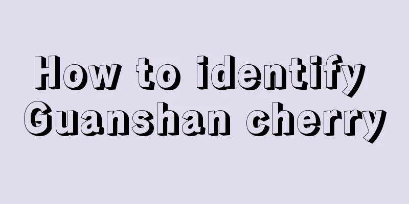 How to identify Guanshan cherry