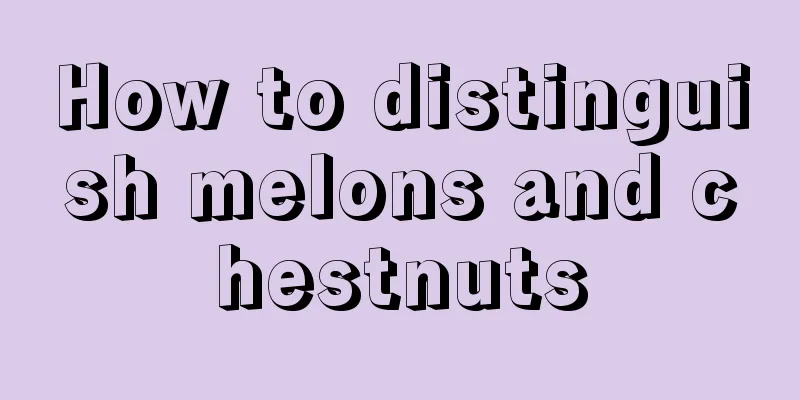 How to distinguish melons and chestnuts