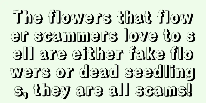 The flowers that flower scammers love to sell are either fake flowers or dead seedlings, they are all scams!