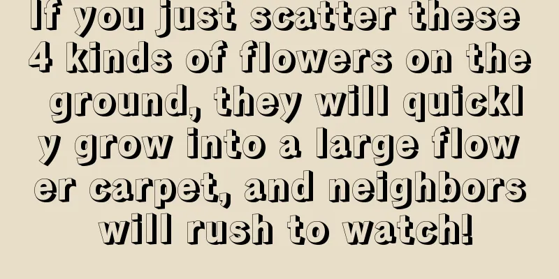 If you just scatter these 4 kinds of flowers on the ground, they will quickly grow into a large flower carpet, and neighbors will rush to watch!