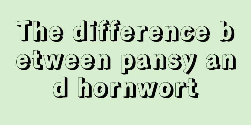 The difference between pansy and hornwort