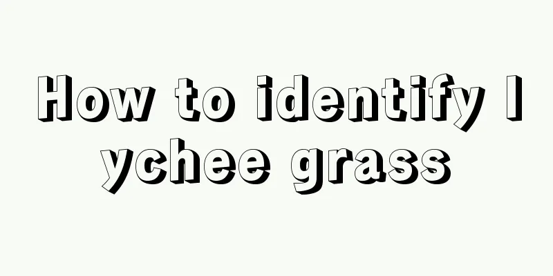 How to identify lychee grass