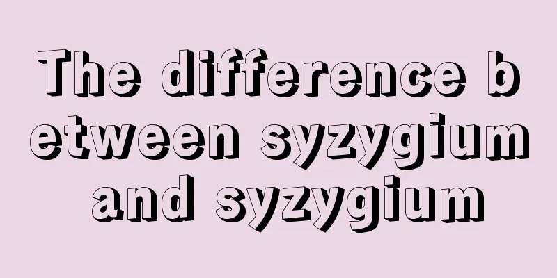 The difference between syzygium and syzygium