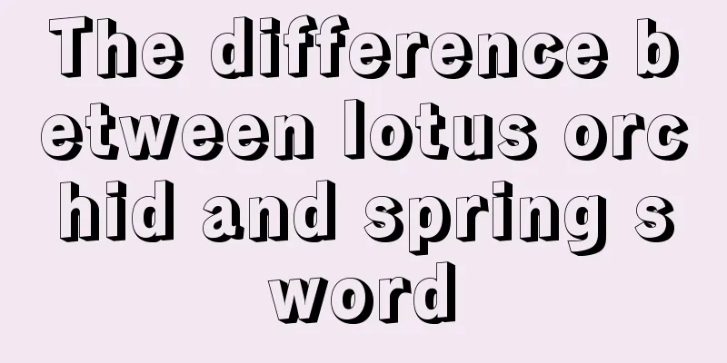 The difference between lotus orchid and spring sword