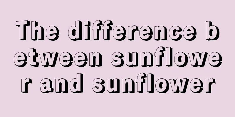 The difference between sunflower and sunflower