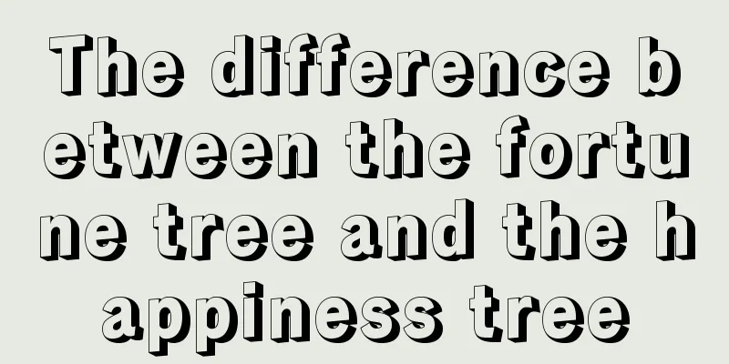 The difference between the fortune tree and the happiness tree