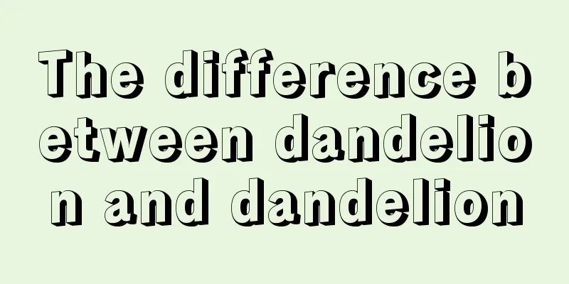 The difference between dandelion and dandelion