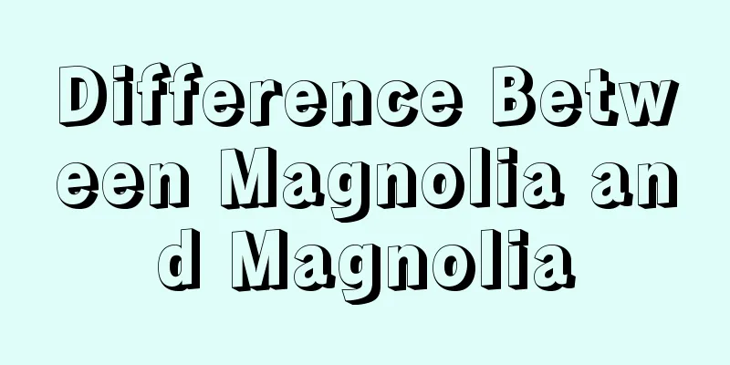 Difference Between Magnolia and Magnolia