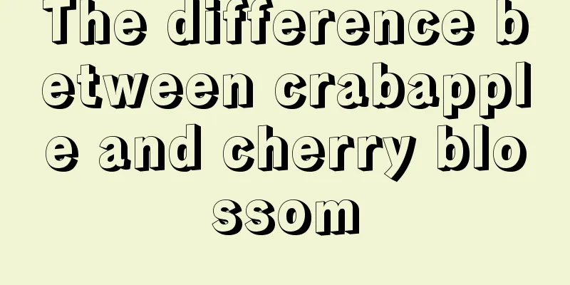 The difference between crabapple and cherry blossom