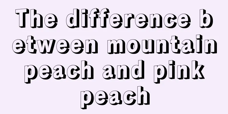 The difference between mountain peach and pink peach