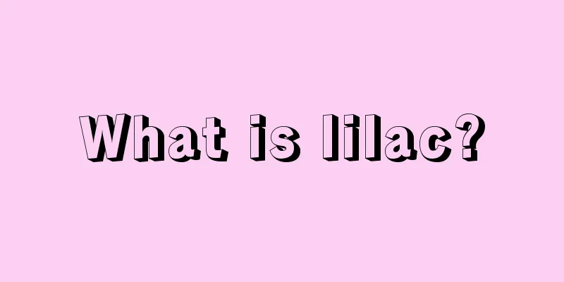 What is lilac?