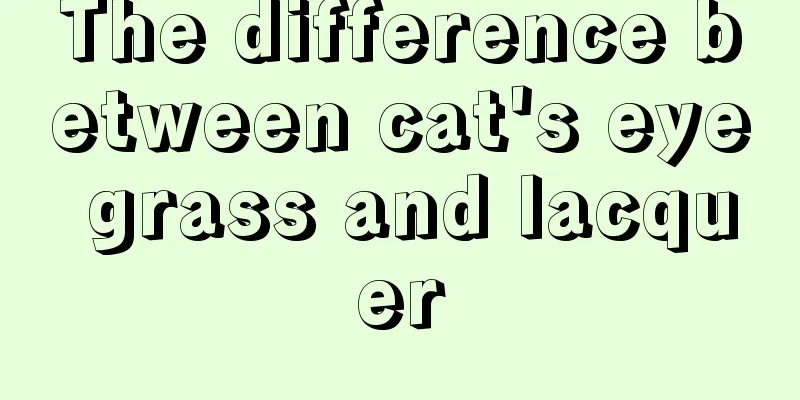 The difference between cat's eye grass and lacquer