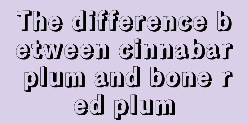 The difference between cinnabar plum and bone red plum