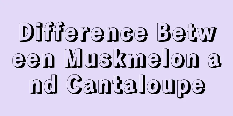 Difference Between Muskmelon and Cantaloupe