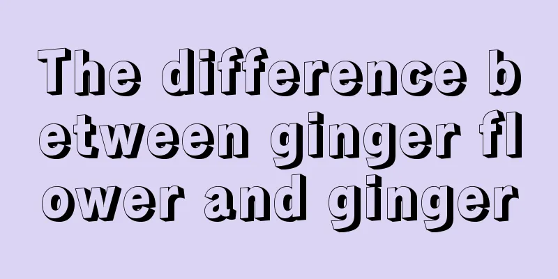 The difference between ginger flower and ginger