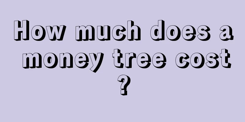 How much does a money tree cost?