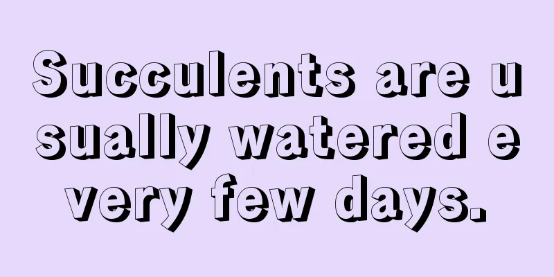 Succulents are usually watered every few days.