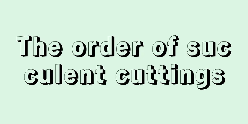 The order of succulent cuttings