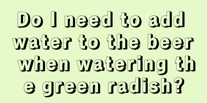 Do I need to add water to the beer when watering the green radish?