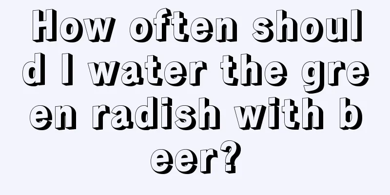 How often should I water the green radish with beer?