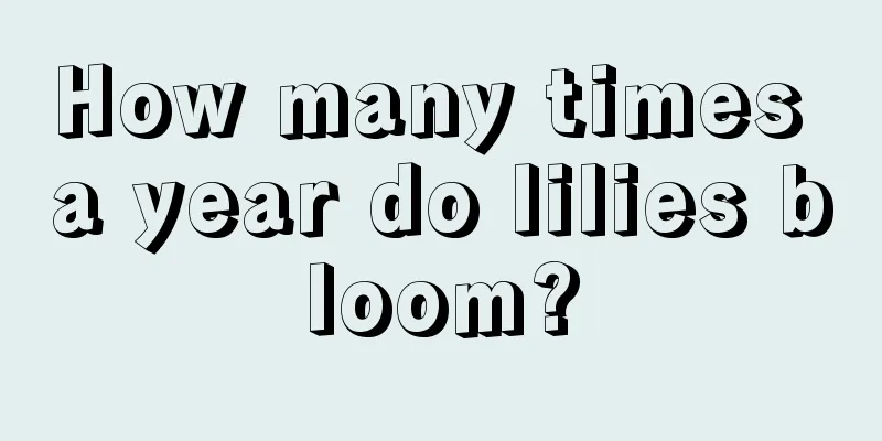 How many times a year do lilies bloom?