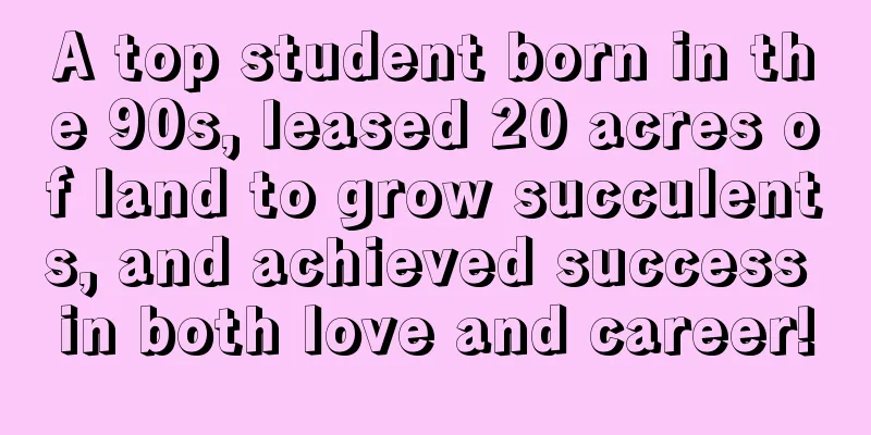 A top student born in the 90s, leased 20 acres of land to grow succulents, and achieved success in both love and career!