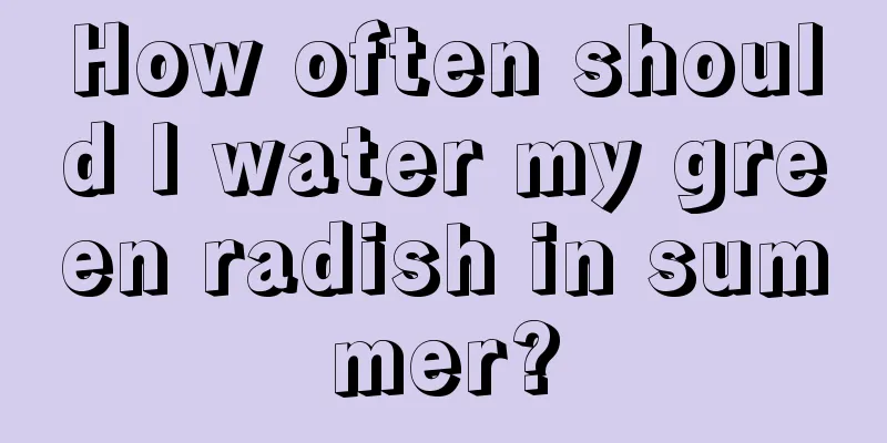 How often should I water my green radish in summer?