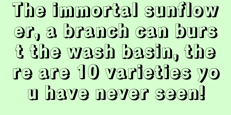 The immortal sunflower, a branch can burst the wash basin, there are 10 varieties you have never seen!