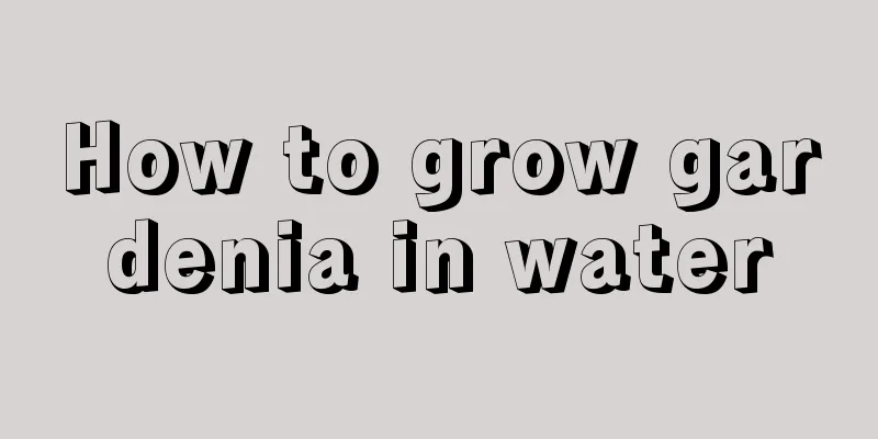 How to grow gardenia in water