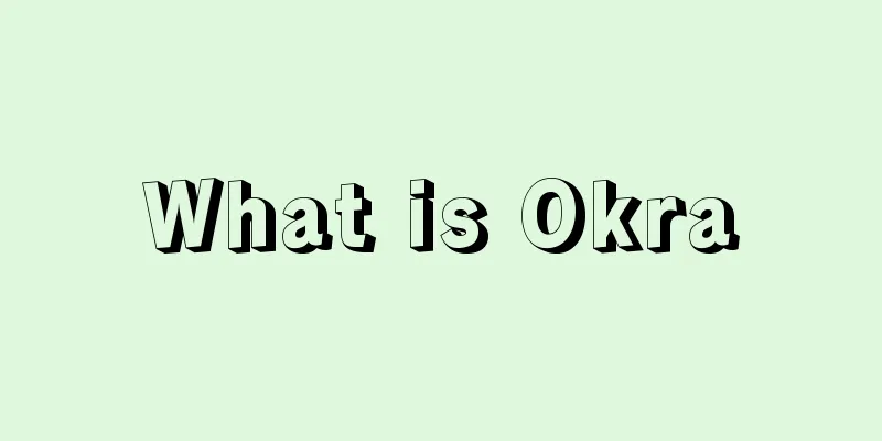 What is Okra