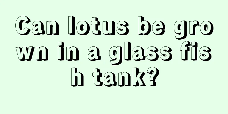 Can lotus be grown in a glass fish tank?