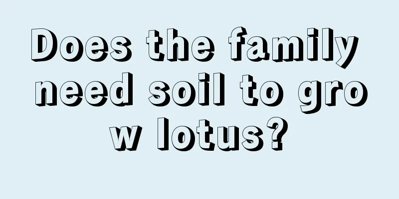 Does the family need soil to grow lotus?